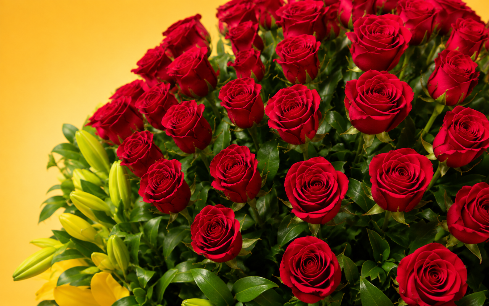 Canasta de 100 Rosas Rojas con lilis amarillas