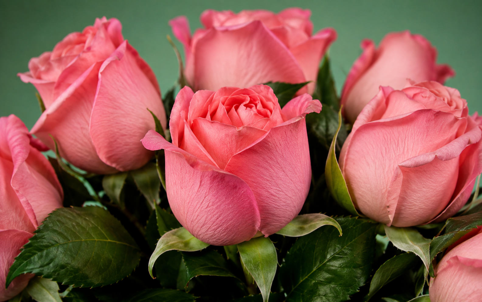 Jarrón con 24 Rosas Claras