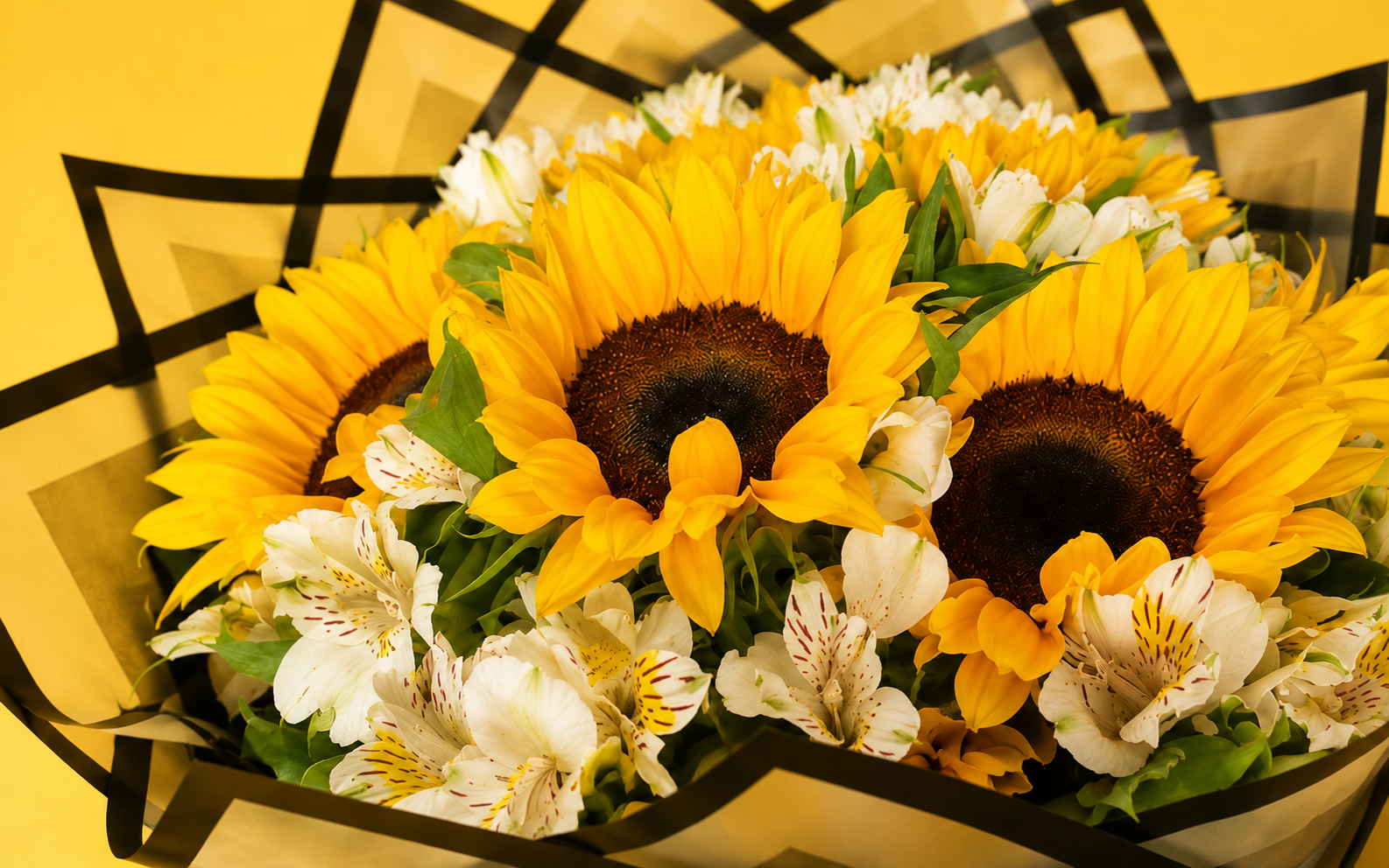 Ramo de 10 Girasoles con alstromeria