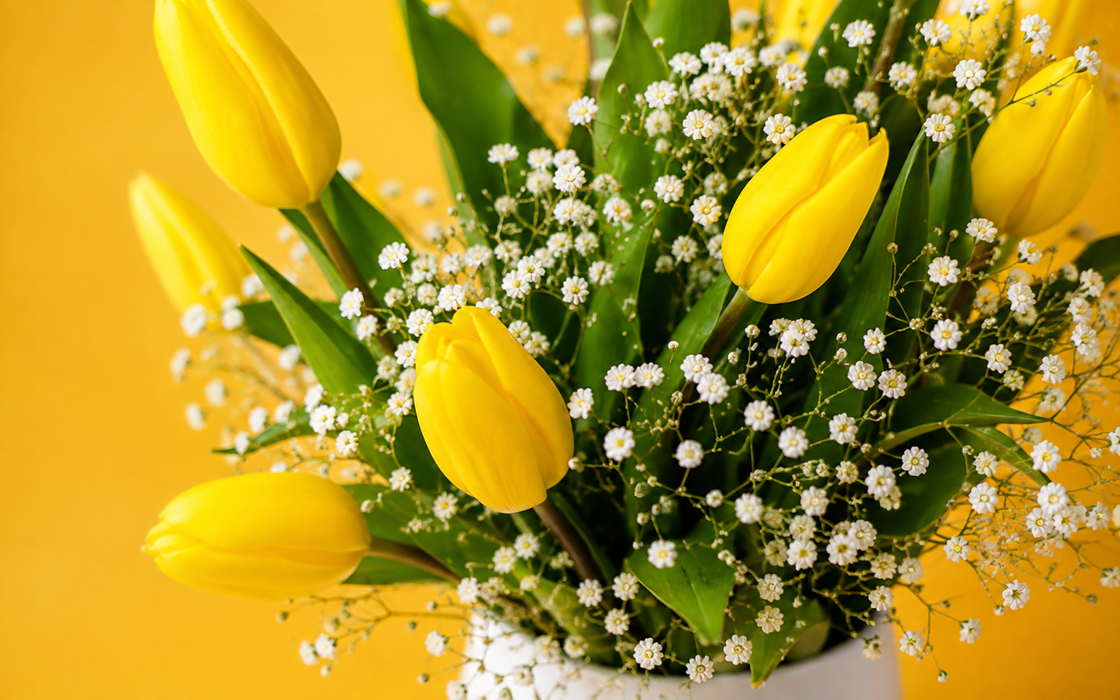 Jarrón Cerámico con 10 Tulipanes y Gypsophilia