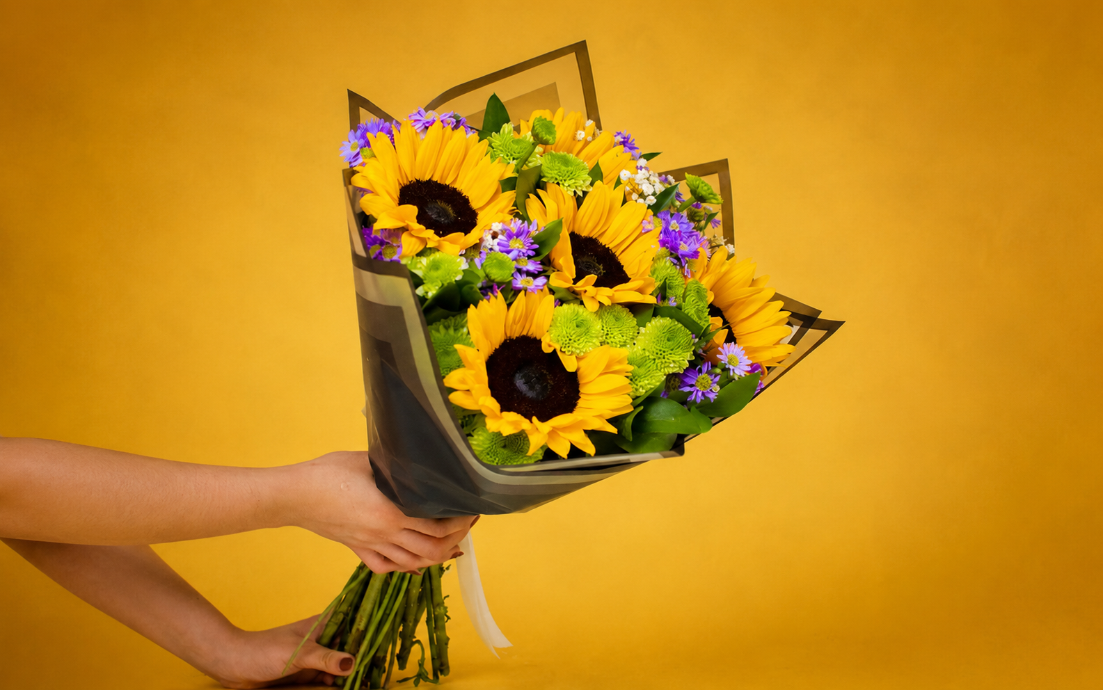 Ramo Girasoles, Montecasino y Yoko