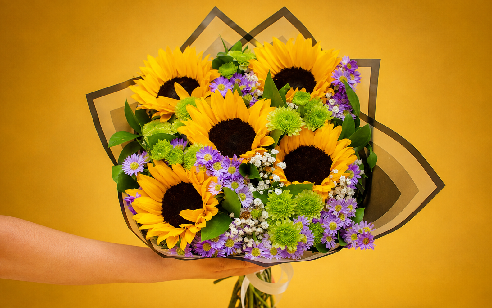 Ramo Girasoles, Montecasino y Yoko
