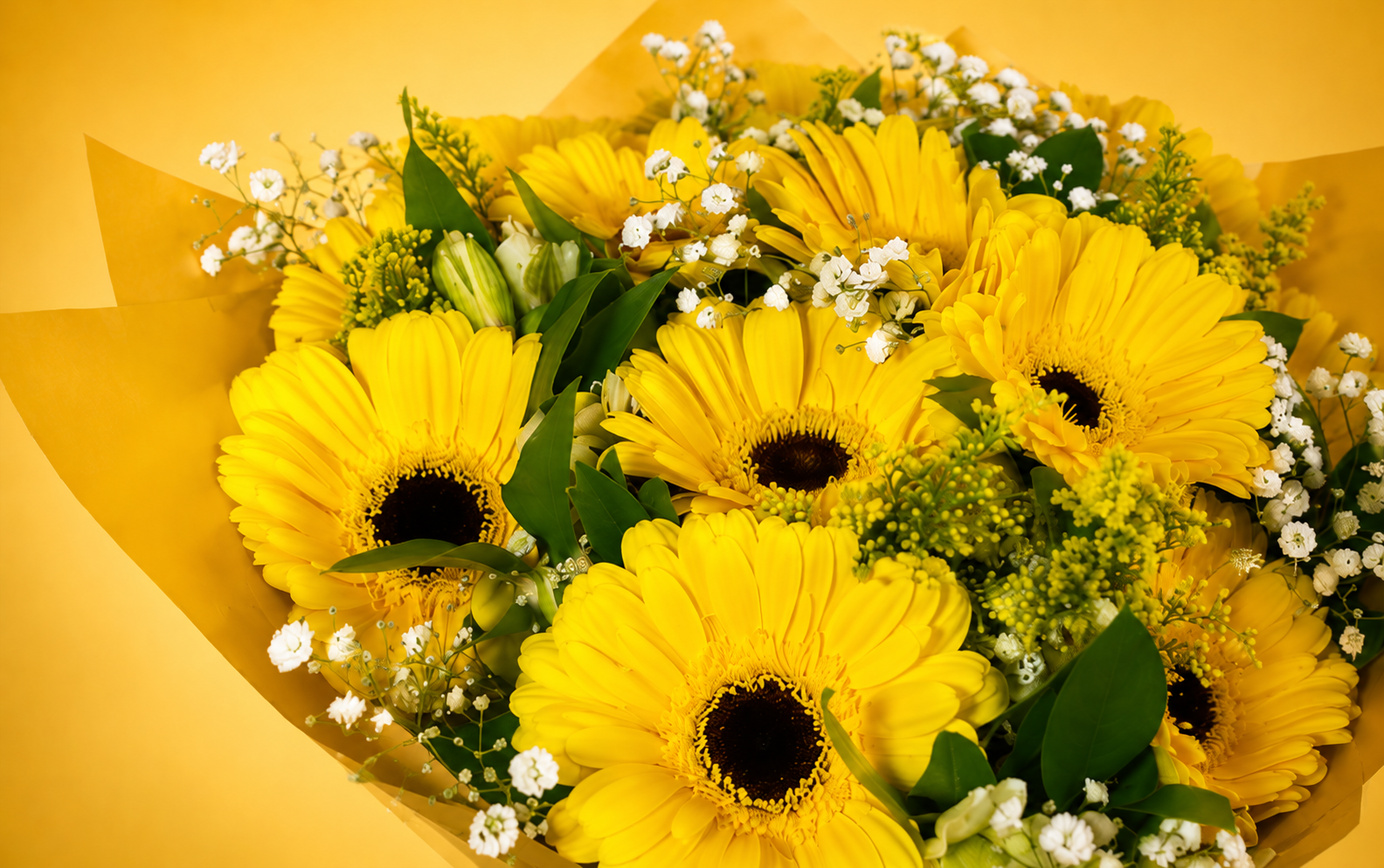 Bouquet De 12 Gerberas Con Follajes