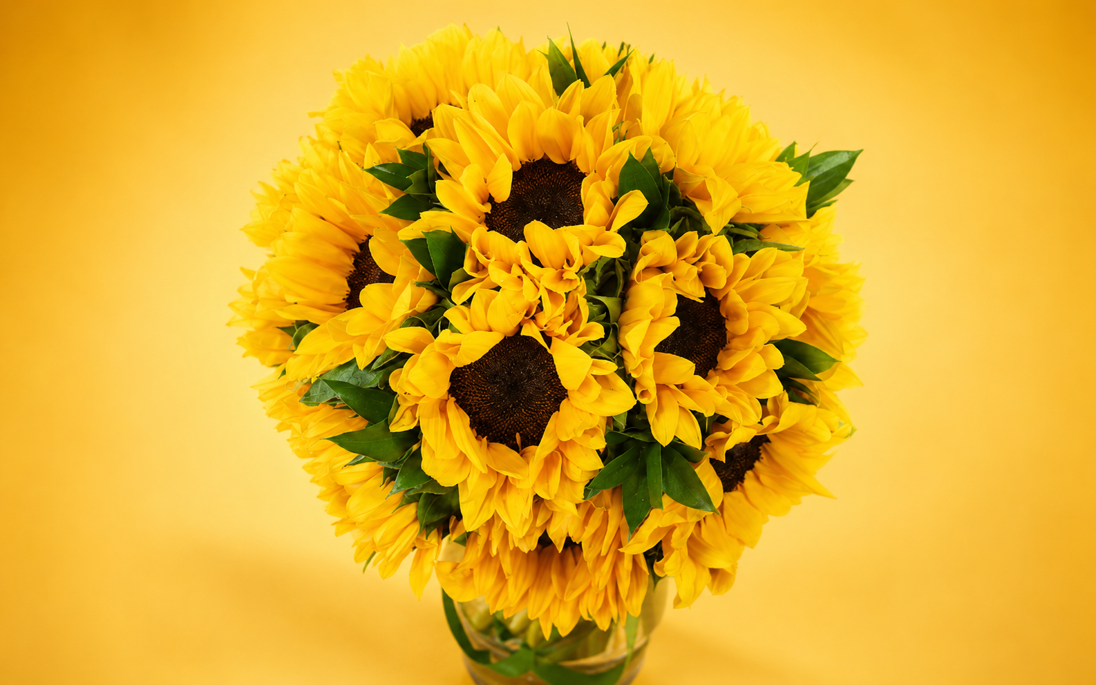 Jarrón con 15 Girasoles