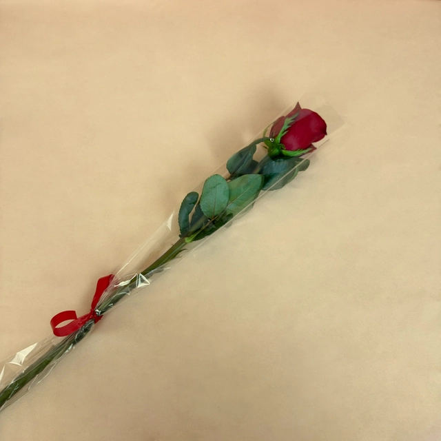 Rosa Individual