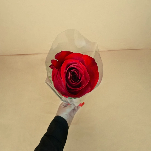 Rosa Individual