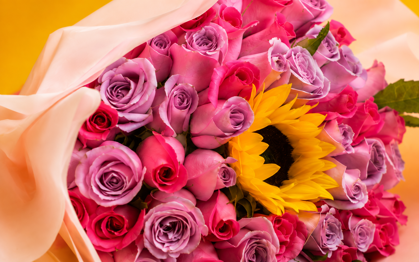 Bouquet de 50 Rosas Combinadas y 1 Girasol.
