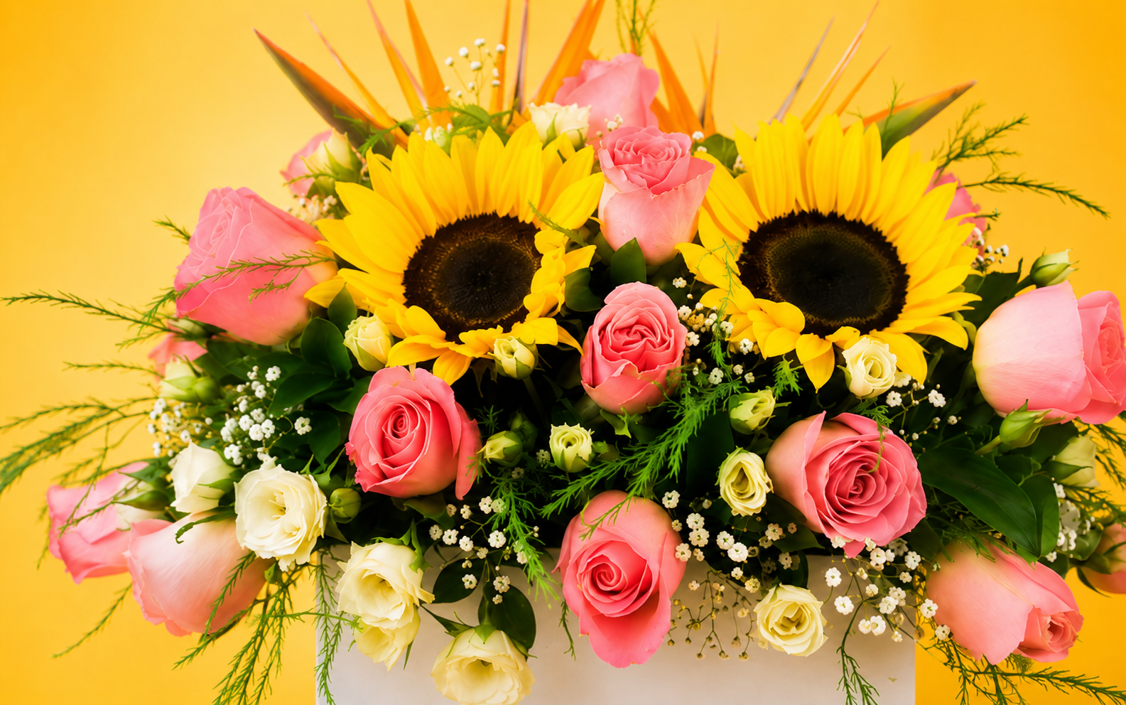 Caja con Girasol y Aves de Paraíso