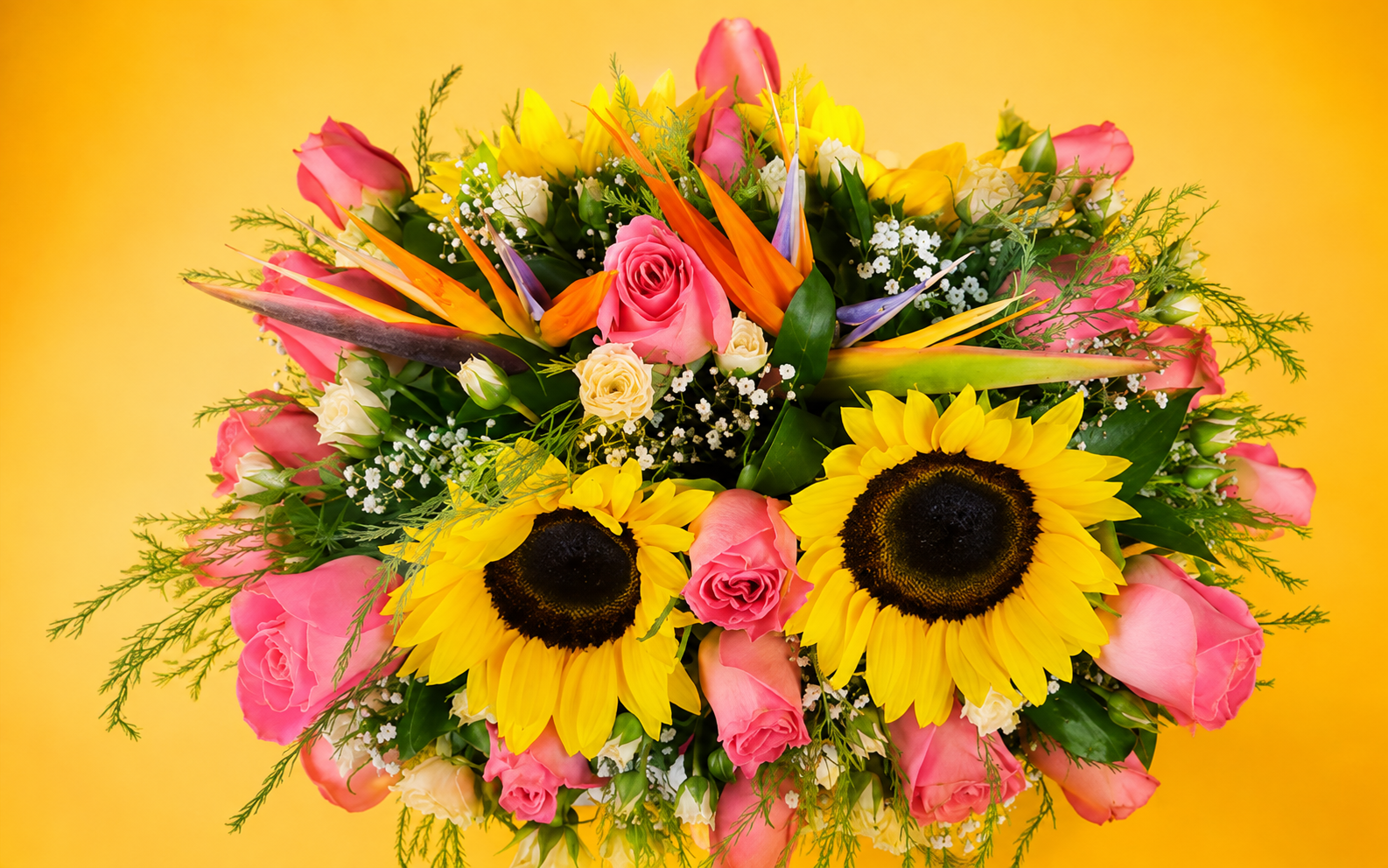 Caja con Girasol y Aves de Paraíso