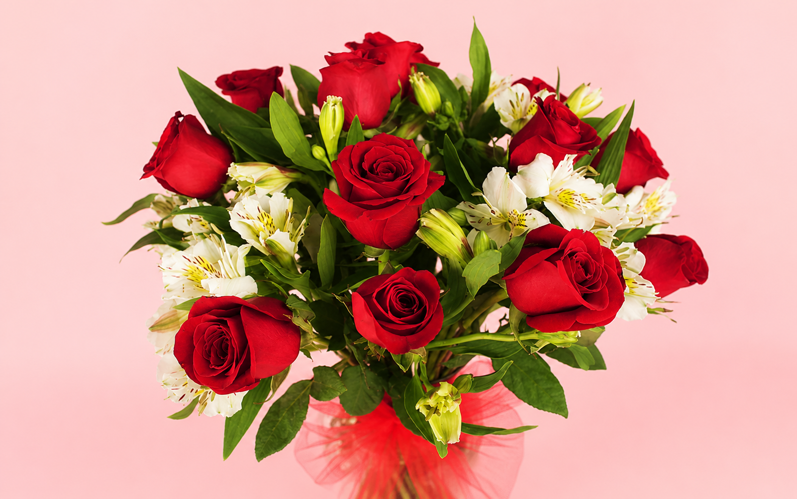 Florero con 14 Rosas Rojas y Alstroemeria