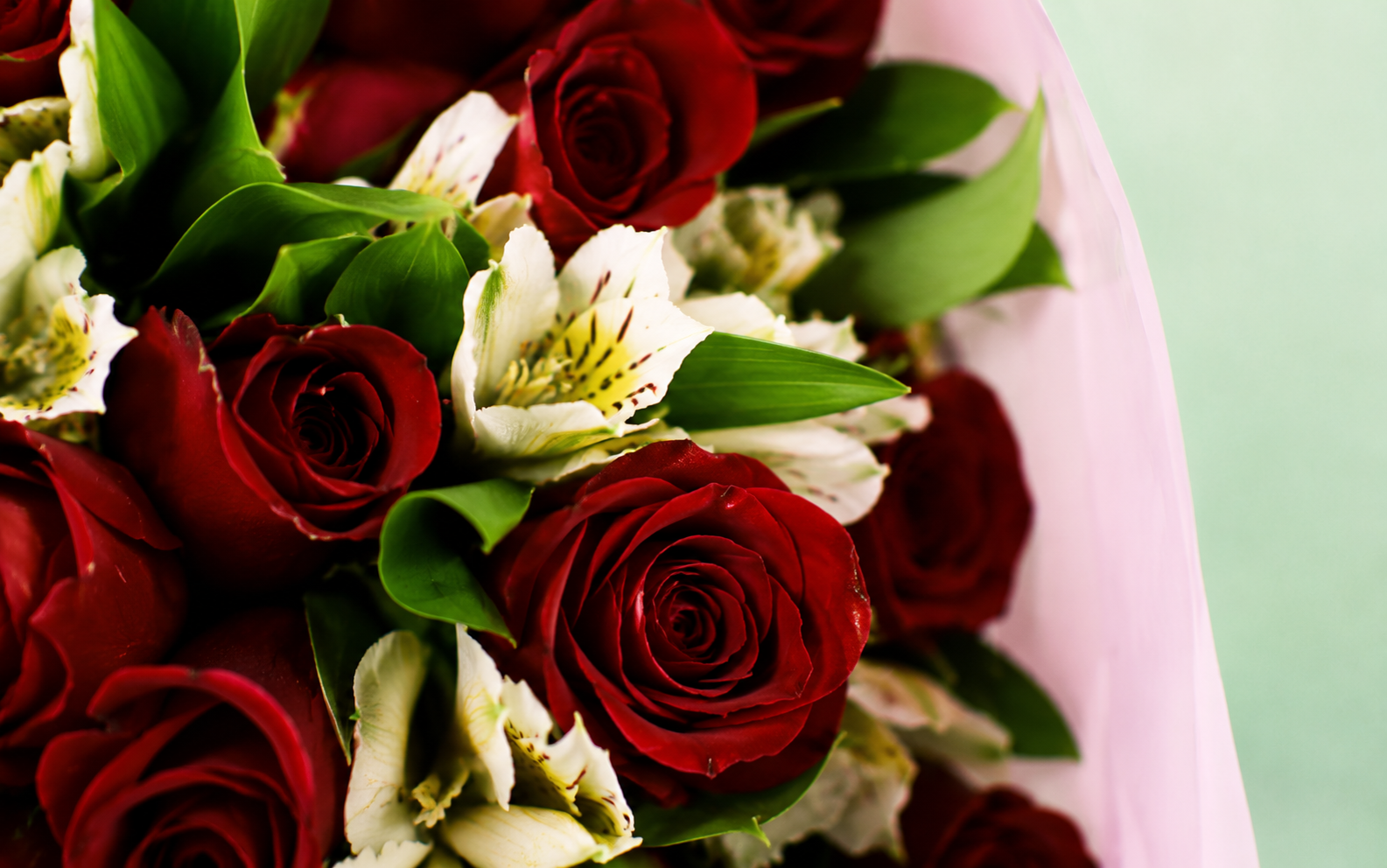 Bouquet 48 Rosas Rojas
