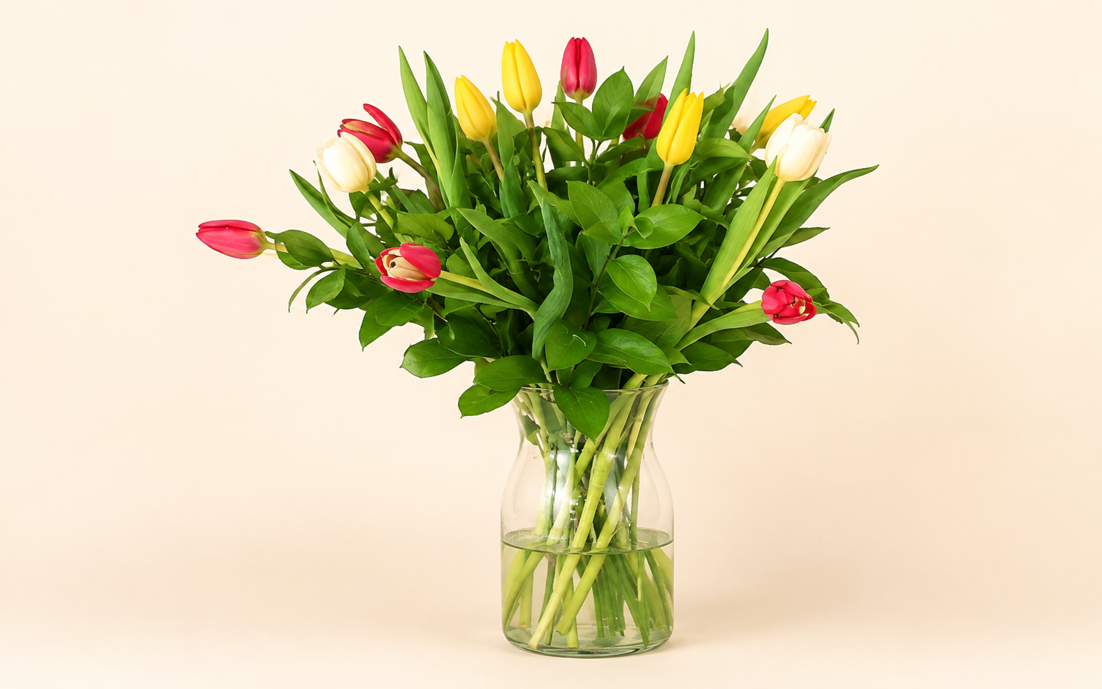 Jarrón de 15 Tulipanes