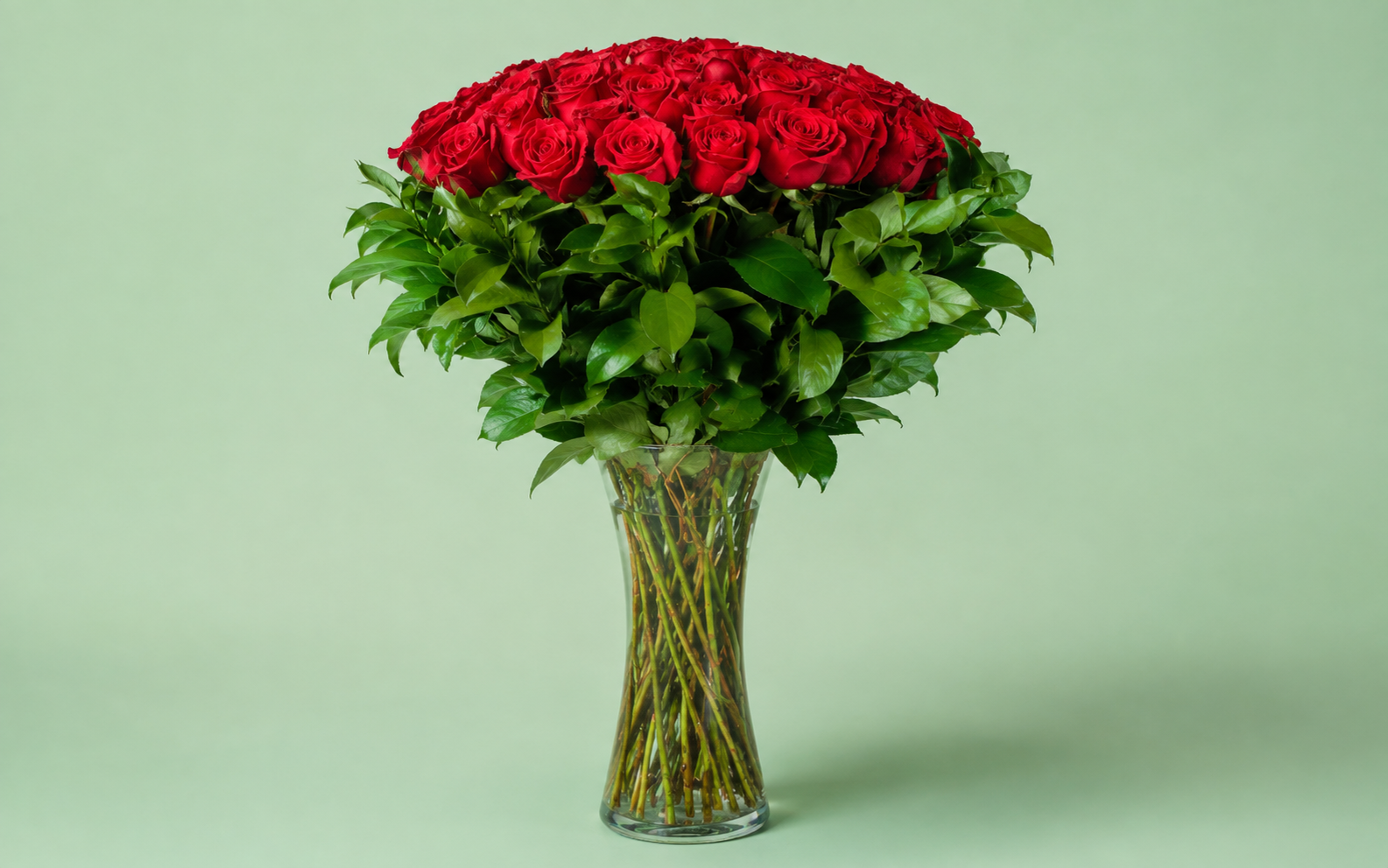 100 Rosas Rojas en Jarrón