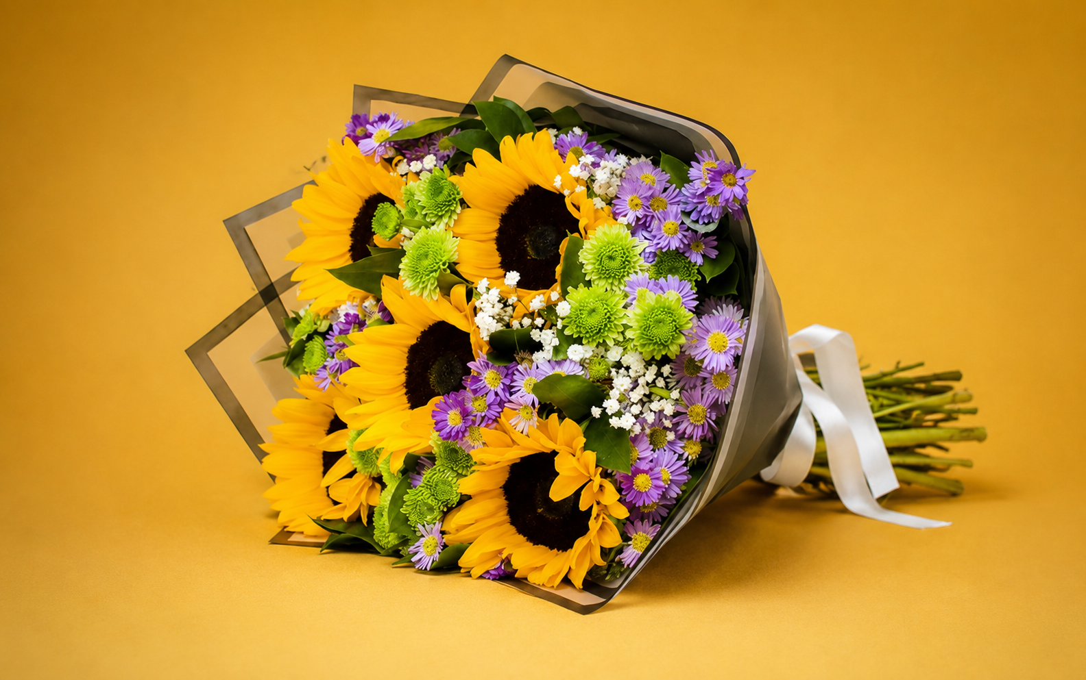 Ramo Girasoles, Montecasino y Yoko