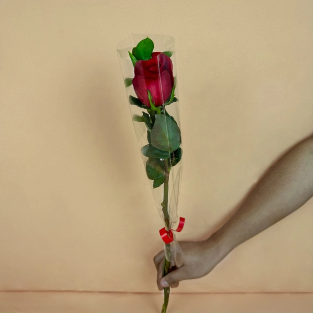 Rosa Individual