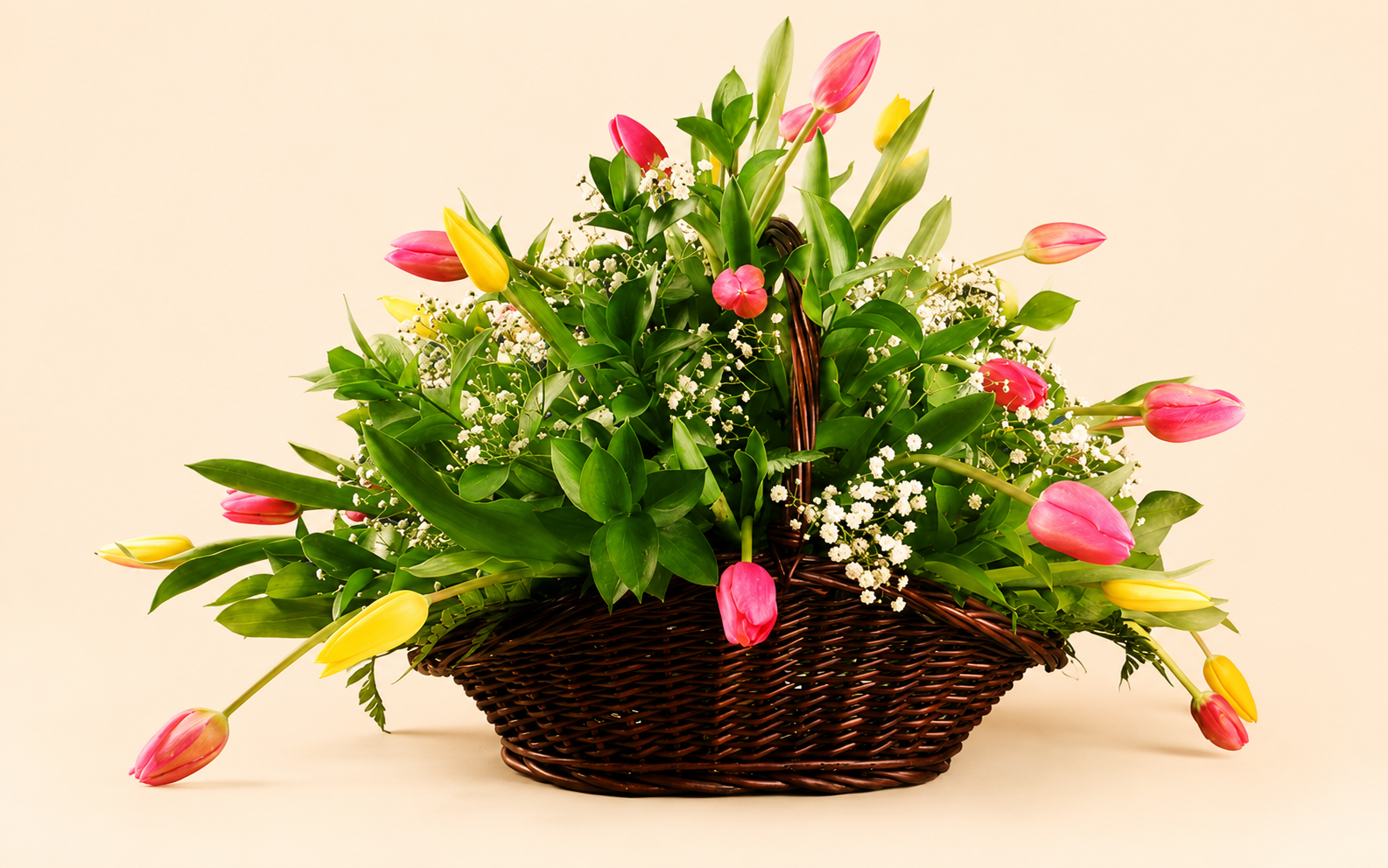 Canasta con 30 Tulipanes Multicolores y Gypsophilia